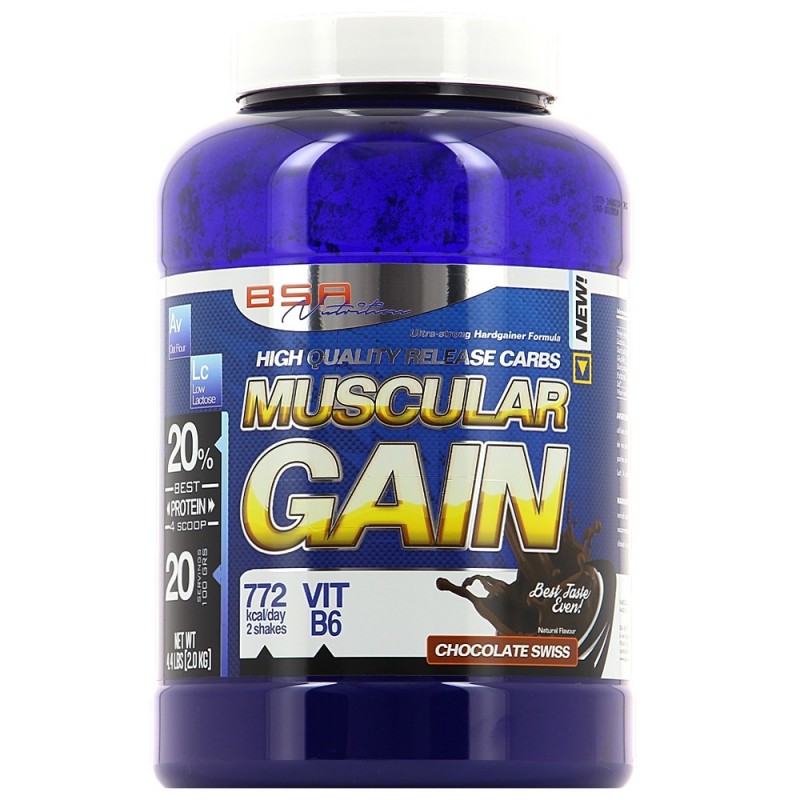 BSA NUTRITION MUSCULAR GAIN 5kg Choco BSA NUTRITION MUSCULAR GAIN 5kg Choco